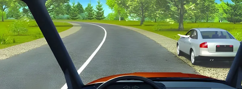 Question 19: In this situation, what can the driver’s outstretched arm indicate?